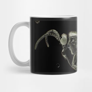 Gold-coated fungus gnat under light microscope Mug